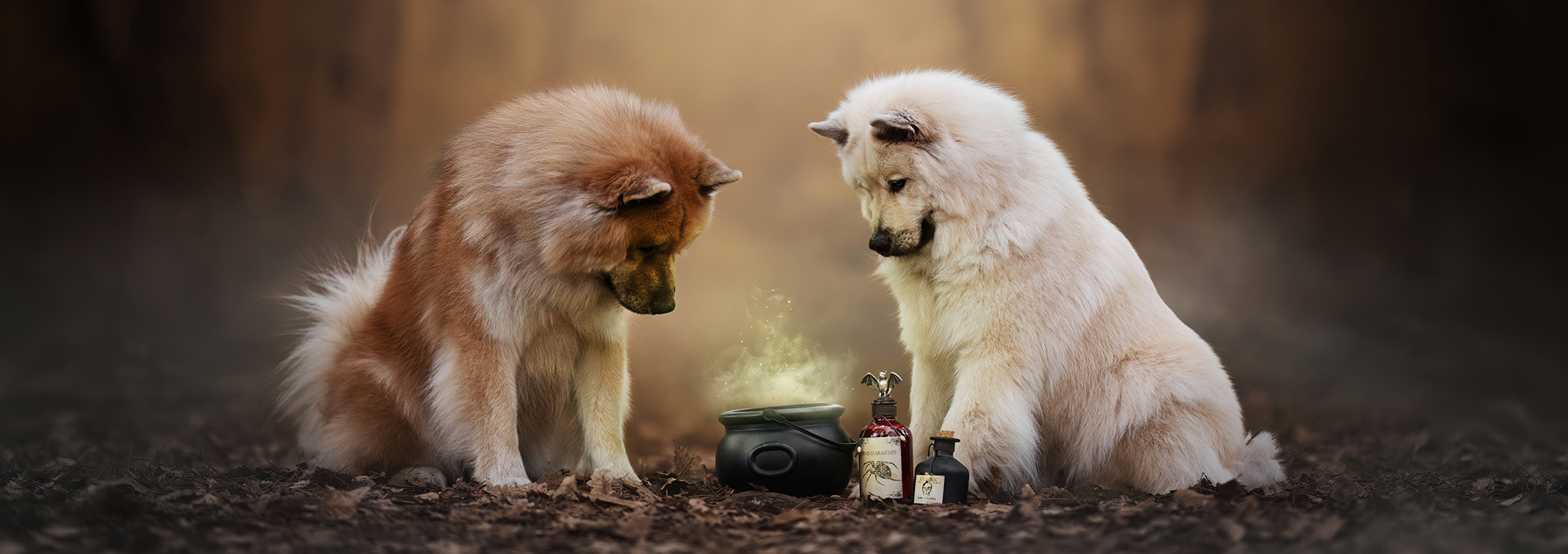 Mini séance à thème